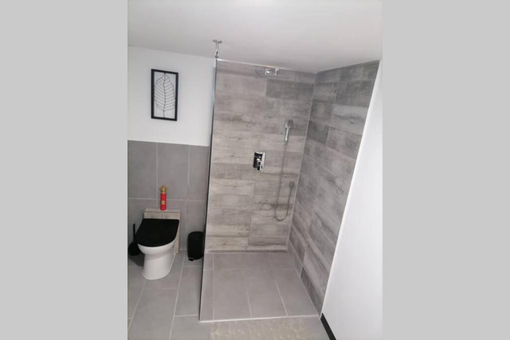 Maison 50 Nuances De Bresse Saint-Didier-en-Bresse المظهر الخارجي الصورة